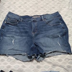 Torrid shorts